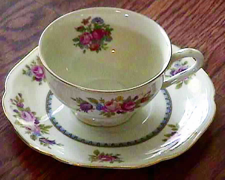 HCZ250 Footed Cup & Saucer Set by Haas-Czjzek Coronado-1