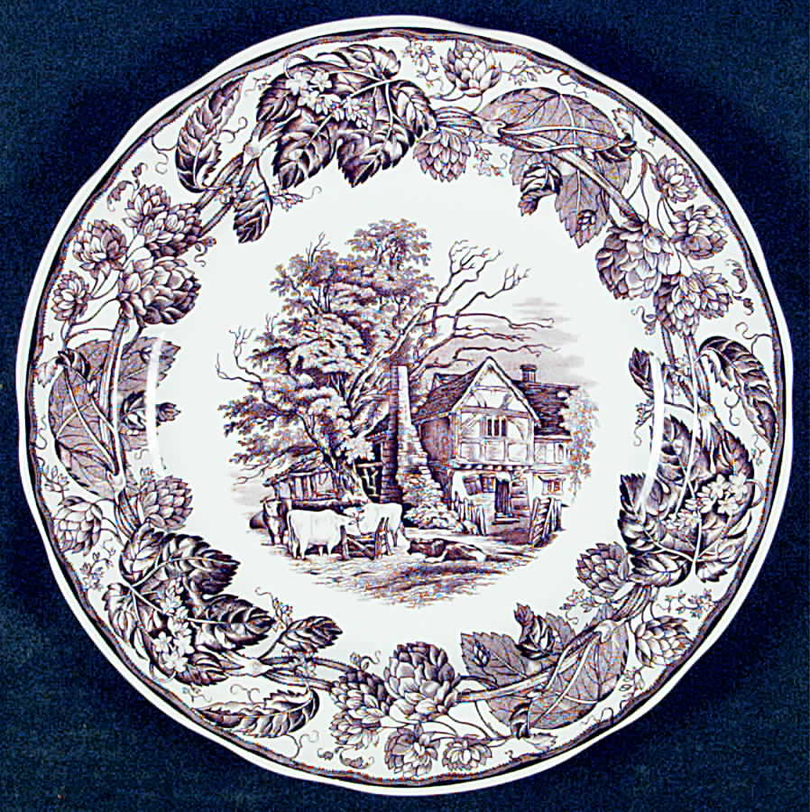 SP246 Dinner Plate by Spode-1