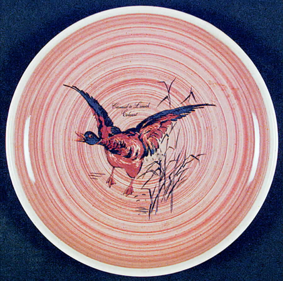 Valanclay Dinner Plate by Sarreguemines-1