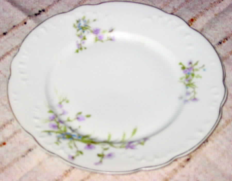 SCR60 Dinner Plate by Scherzer-1