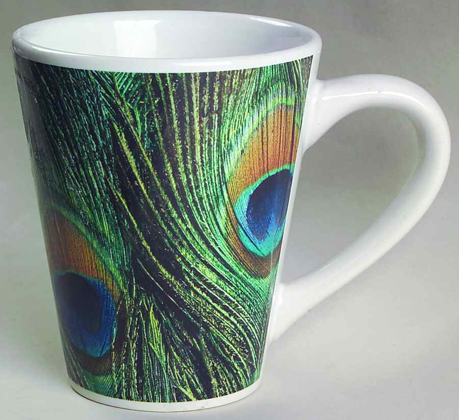 Peacock Mug by Signature-1