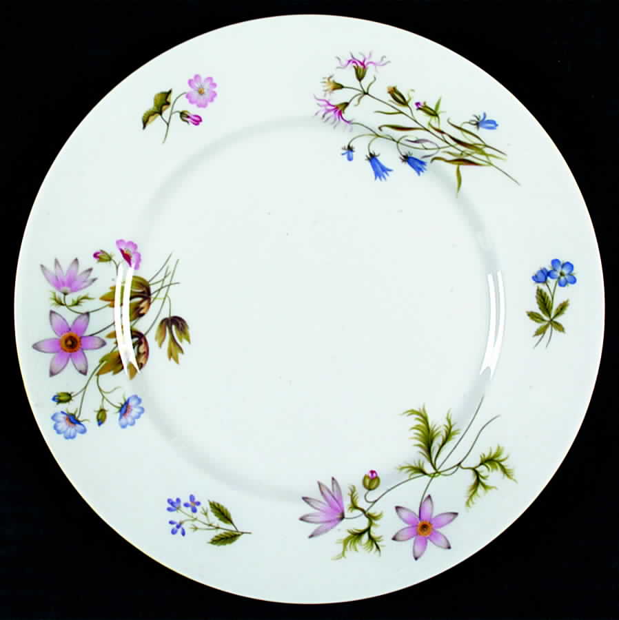 Wild Anemone Salad Plate by Shelley-1