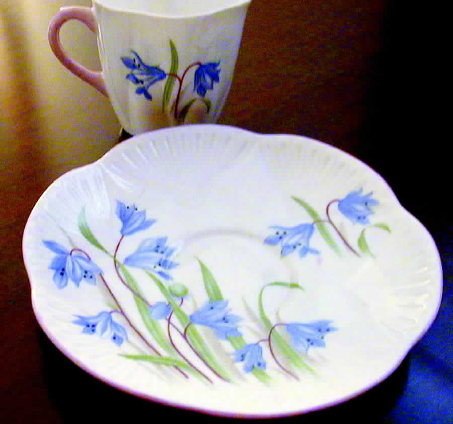 Scilla Flat Cup & Saucer Set by Shelley-1