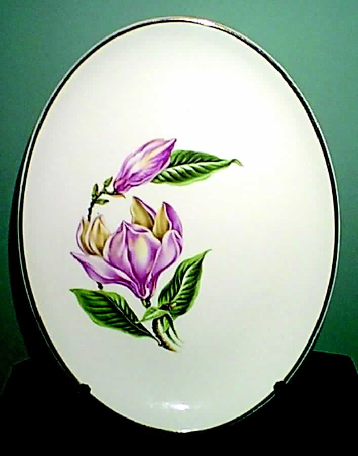 SAB60 14" Oval Serving Platter by Sabin-1