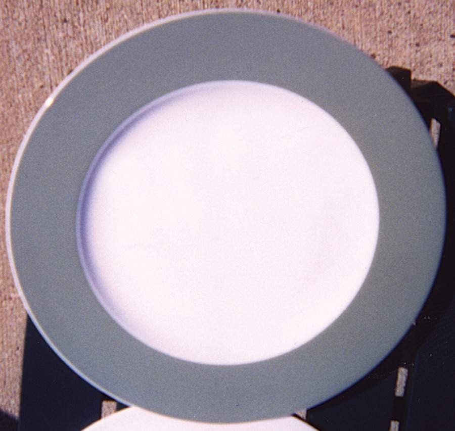 SY568 Dinner Plate by Syracuse-1