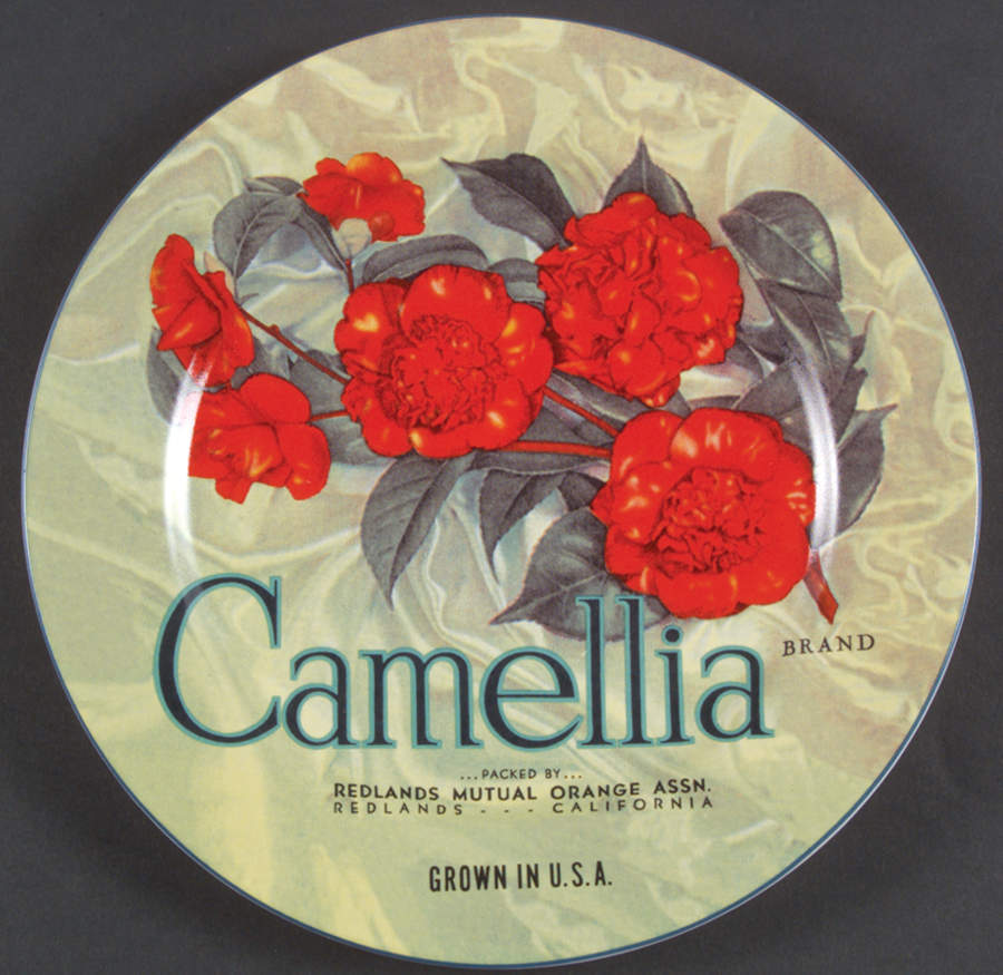 Vintage Labels Salad/Dessert Plate by Sakura-1