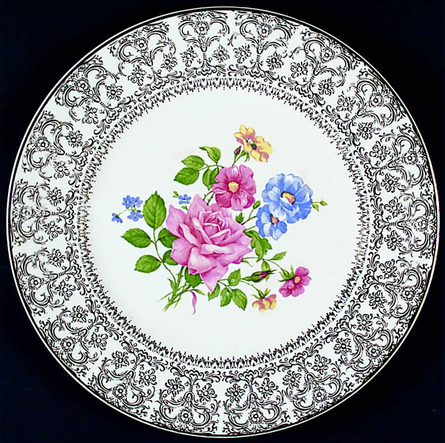 SLM214 Dinner Plate by Salem-1