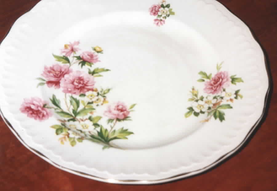 SWI135 Dinner Plate by Swinnertons-1