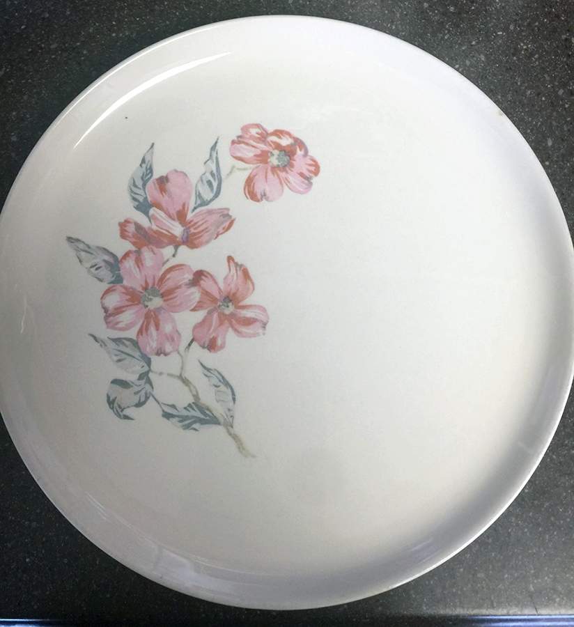STB232 Dinner Plate by Steubenville-1