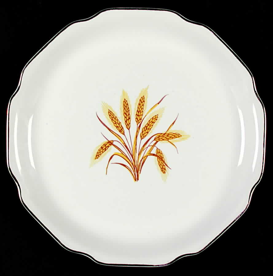 SAB61 Dinner Plate by Sabin-1