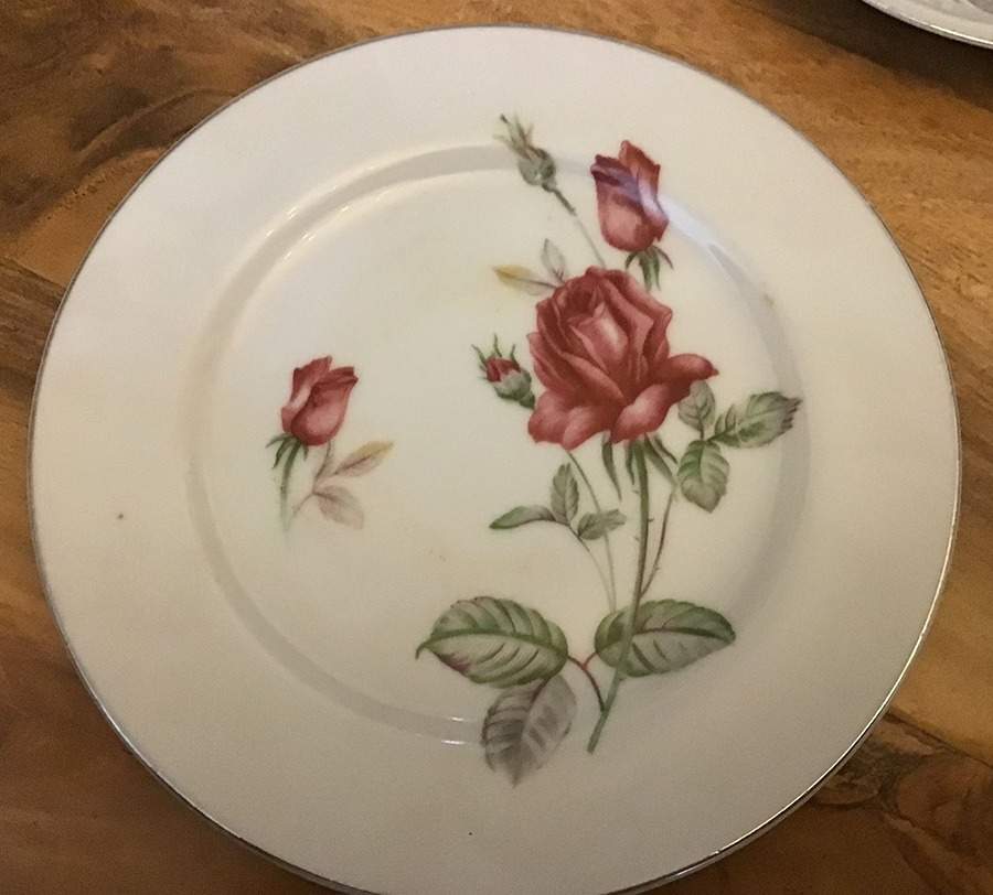 SKY1 Salad Plate by Sankyo (Japan)-1