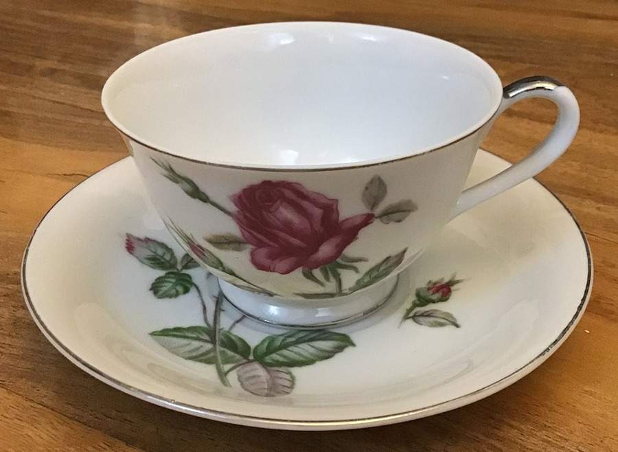 SKY1 Footed Cup & Saucer Set by Sankyo (Japan)-1