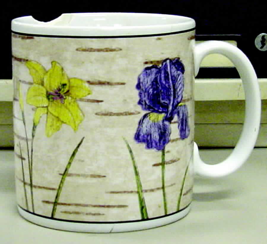 Birchwood Mug by Sakura-1