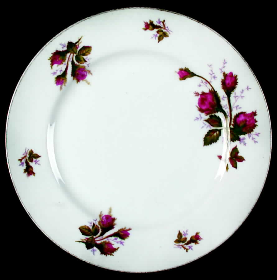 Roslyn Dinner Plate by Spring China-1