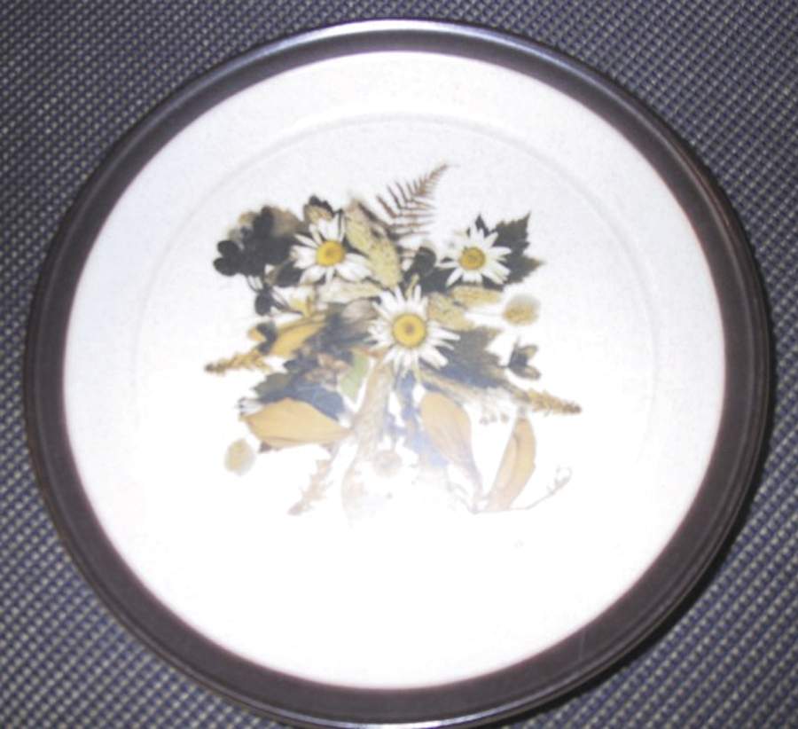 Stf44 Dinner Plate by Staffordshire-1