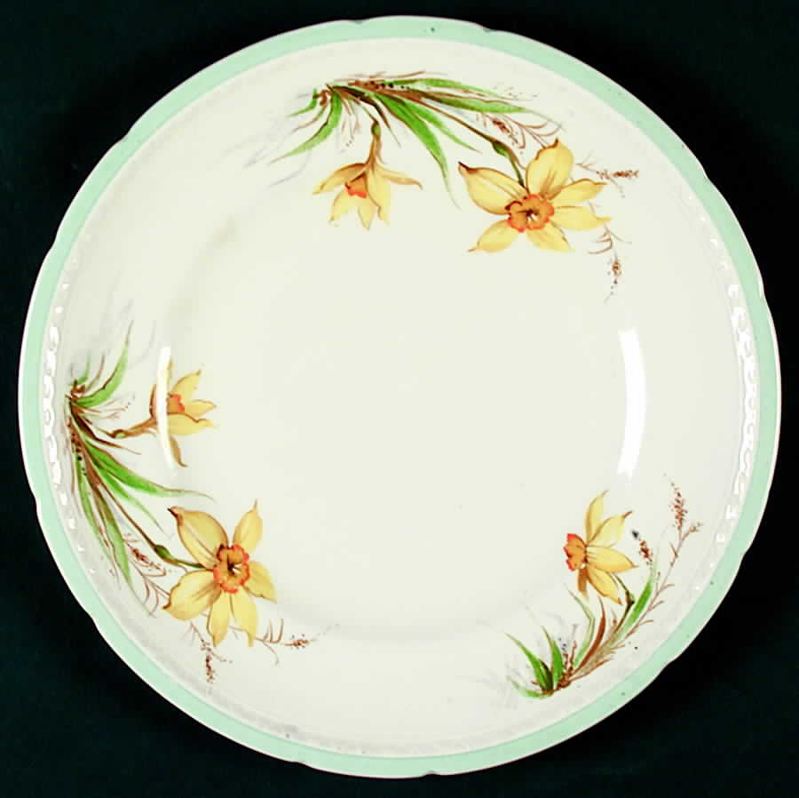 SWI36 Luncheon Plate by Swinnertons-1