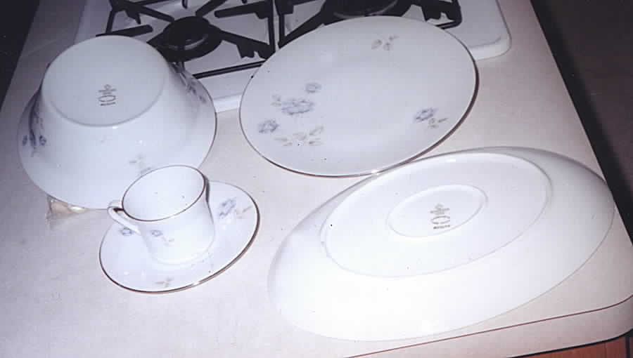 Roslyn Flat Cup & Saucer Set by Scherzer-1