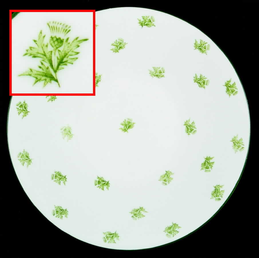 8588 Cake Plate by Shelley-1