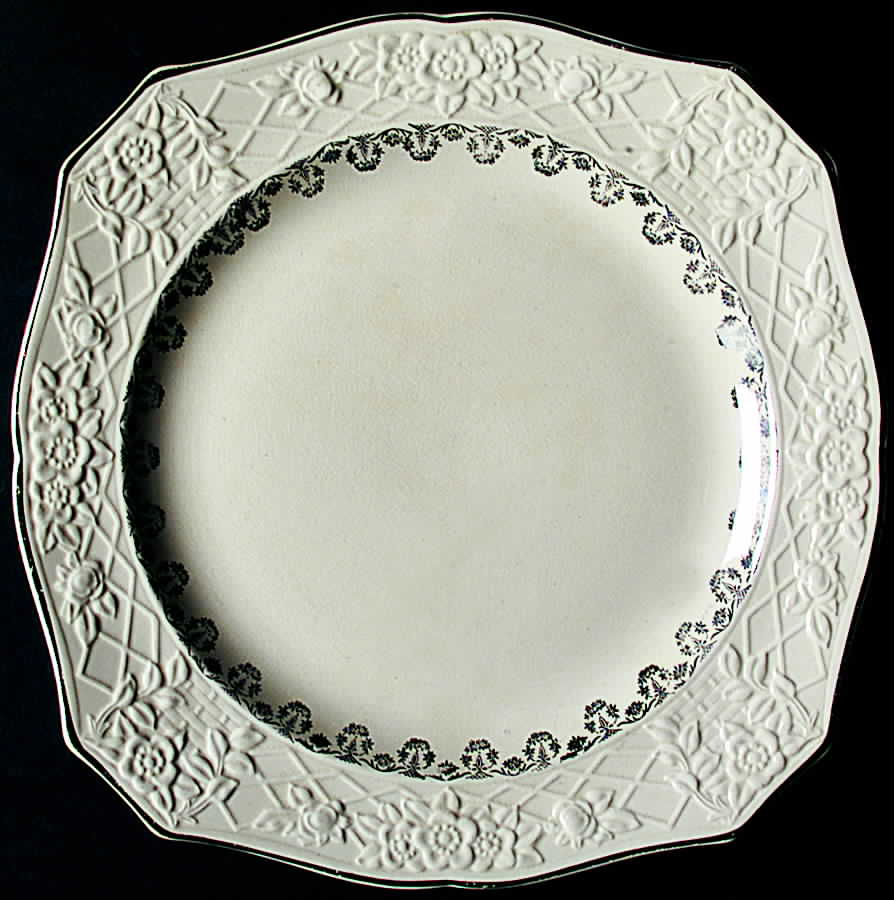 SLM219 Dinner Plate by Salem-1