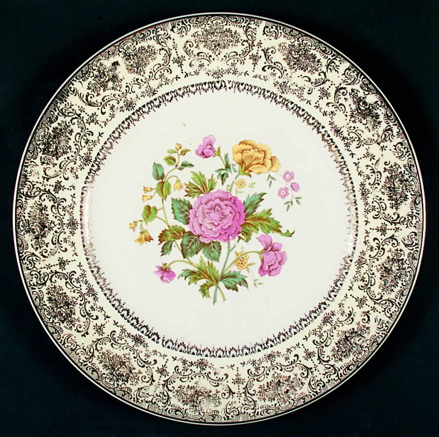 SLM220 Dinner Plate by Salem-1