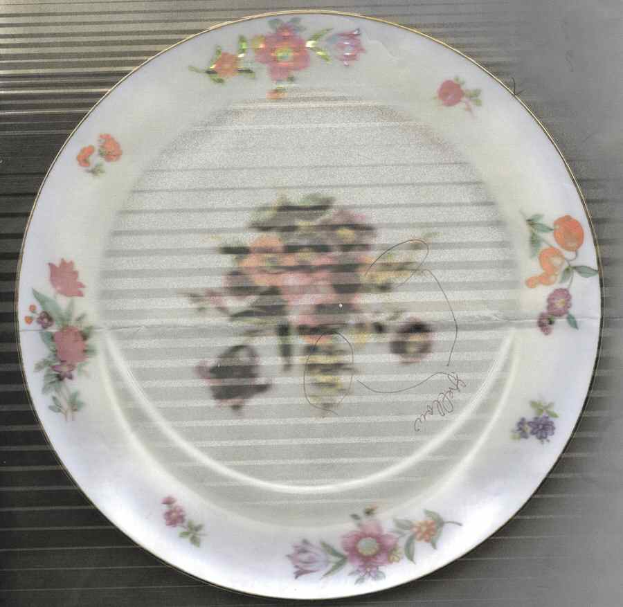 SFU14 Salad Plate by Shofu (Japan)-1