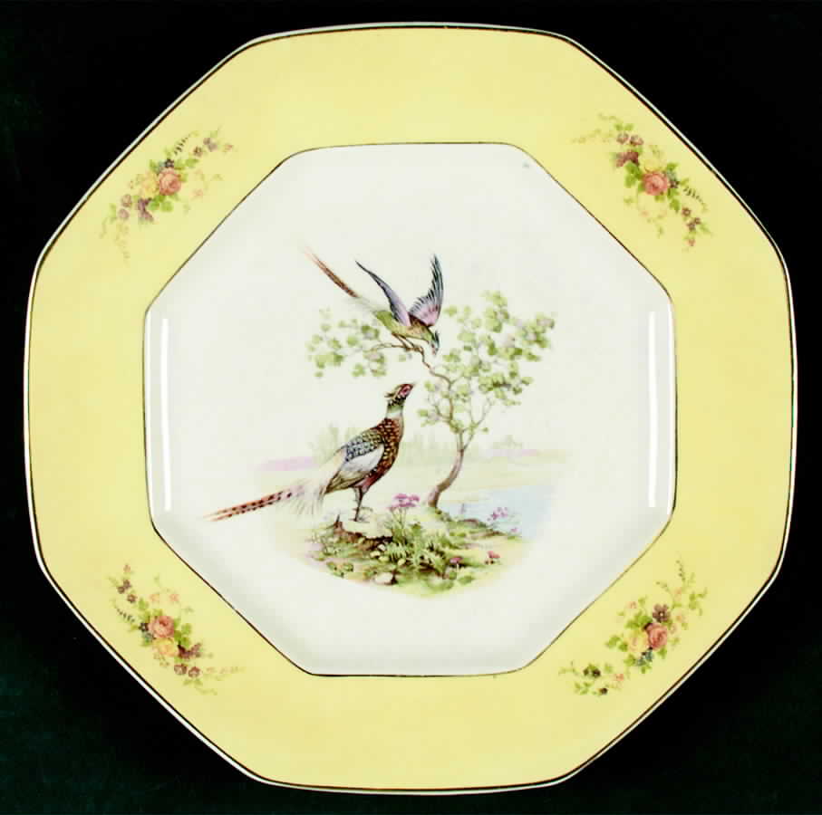 STB238 Dinner Plate by Steubenville-1