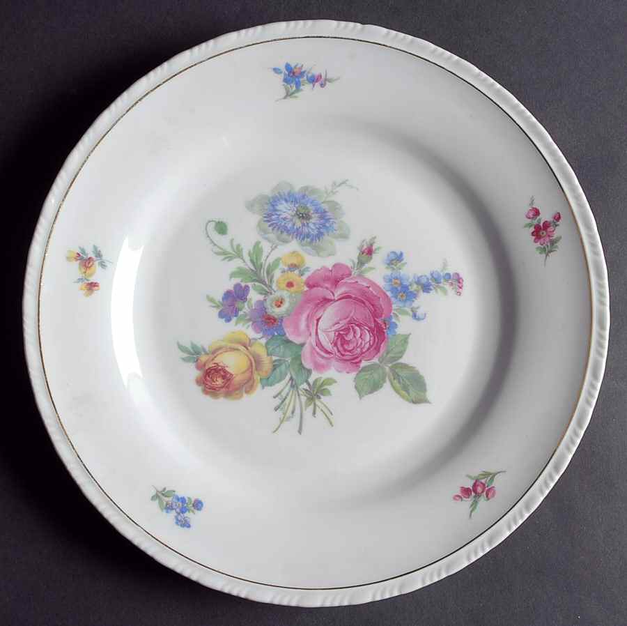 SCD44 Dinner Plate by Schonwald-1