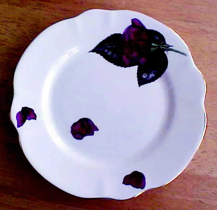 A Rose For You Dessert/Pie Plate by Salisbury-1