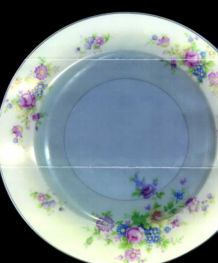 SUJ1 Dinner Plate by Supreme (Japan)-1