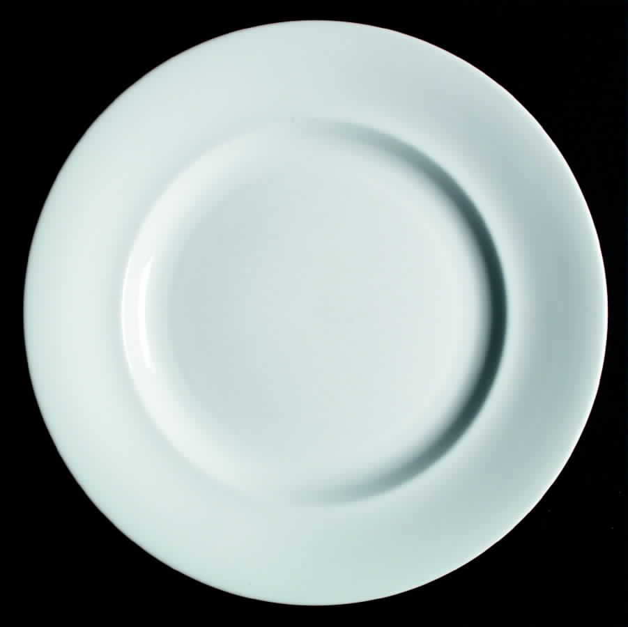 SP276 Dinner Plate by Spode-1
