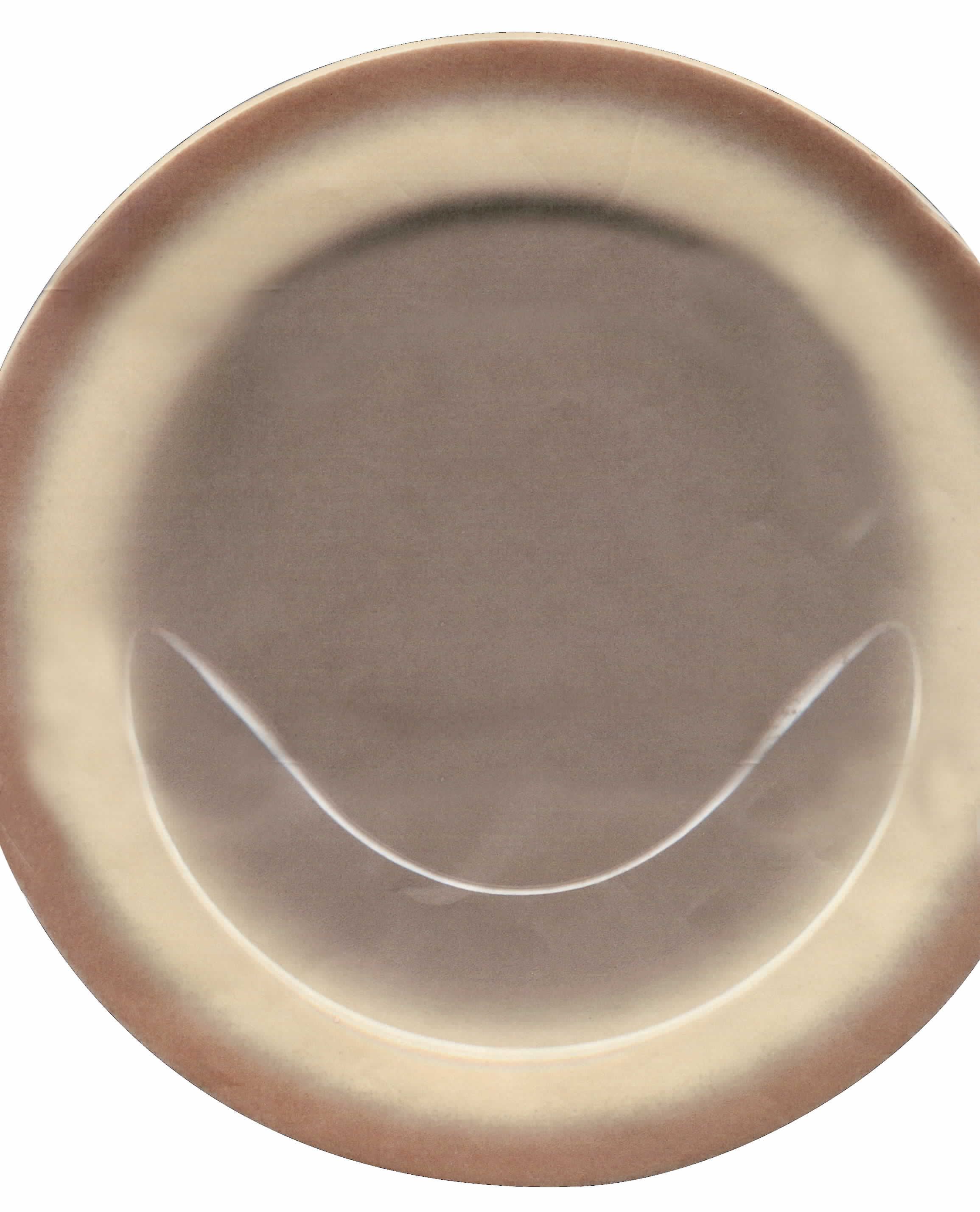 SHO215 Dinner Plate by Shenango-1