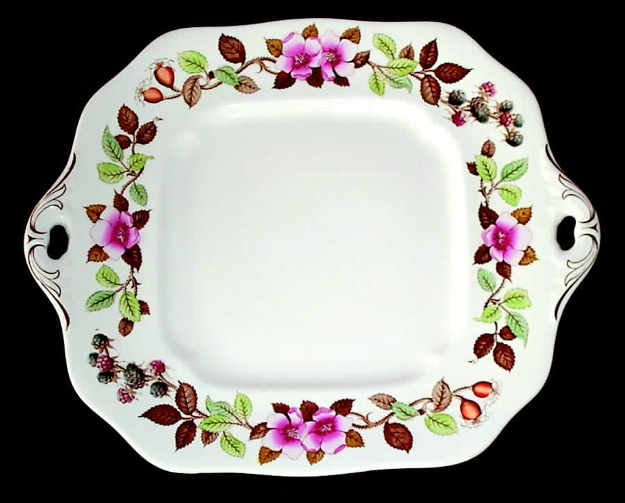 Cottage Rose Square Handled Cake Plate by Spode-1