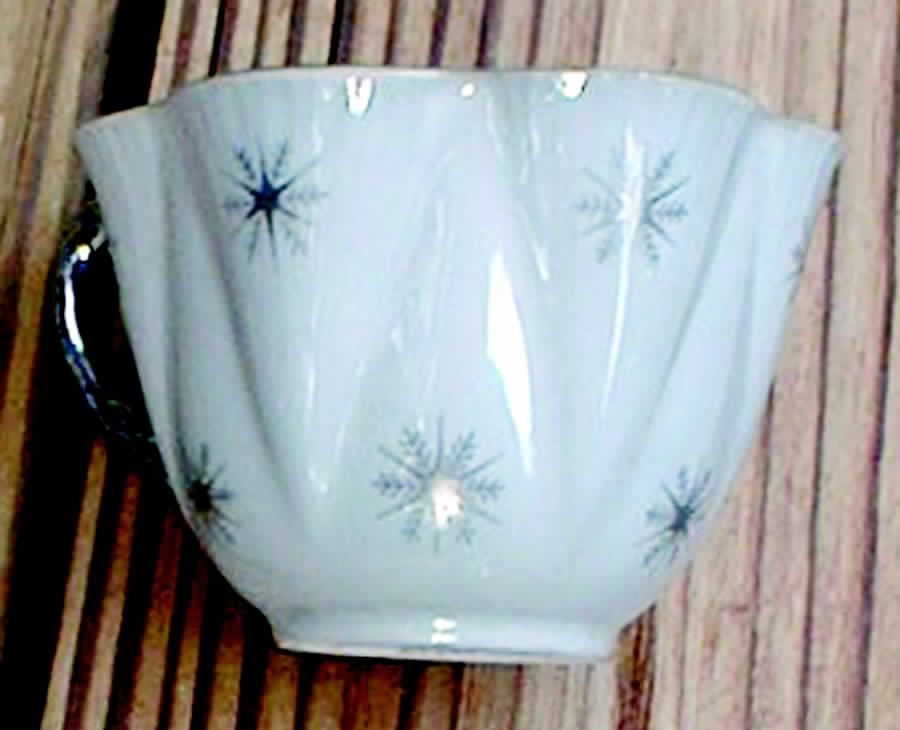13850-74 Flat Cup by Shelley-1