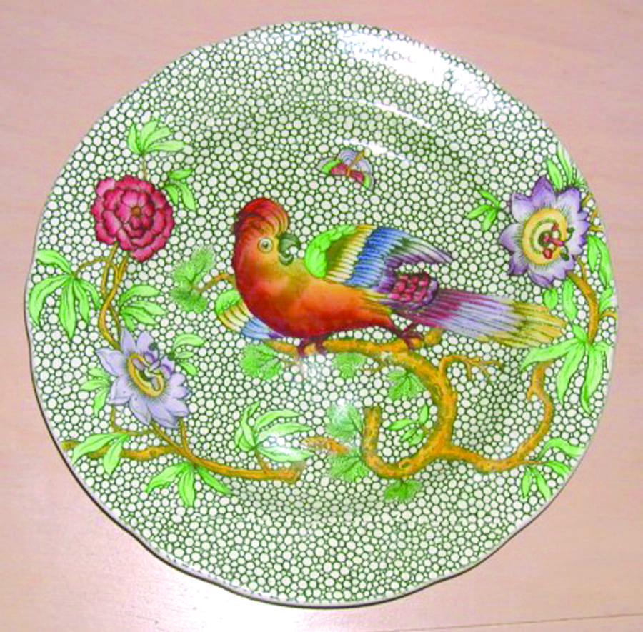 Parrot Salad Plate by Spode-1