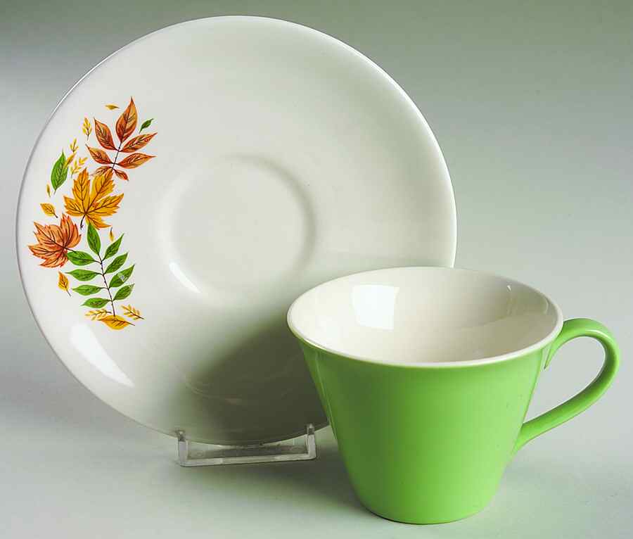 Autumn Leaves Flat Cup & Saucer Set by Salem-1