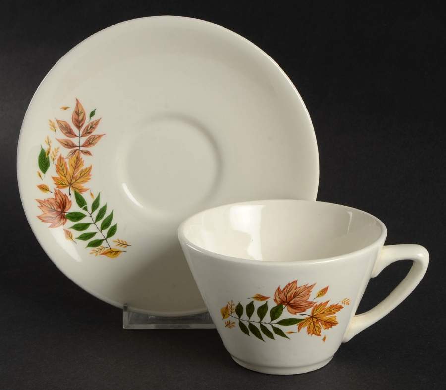Autumn Leaves Flat Cup & Saucer Set by Salem-1