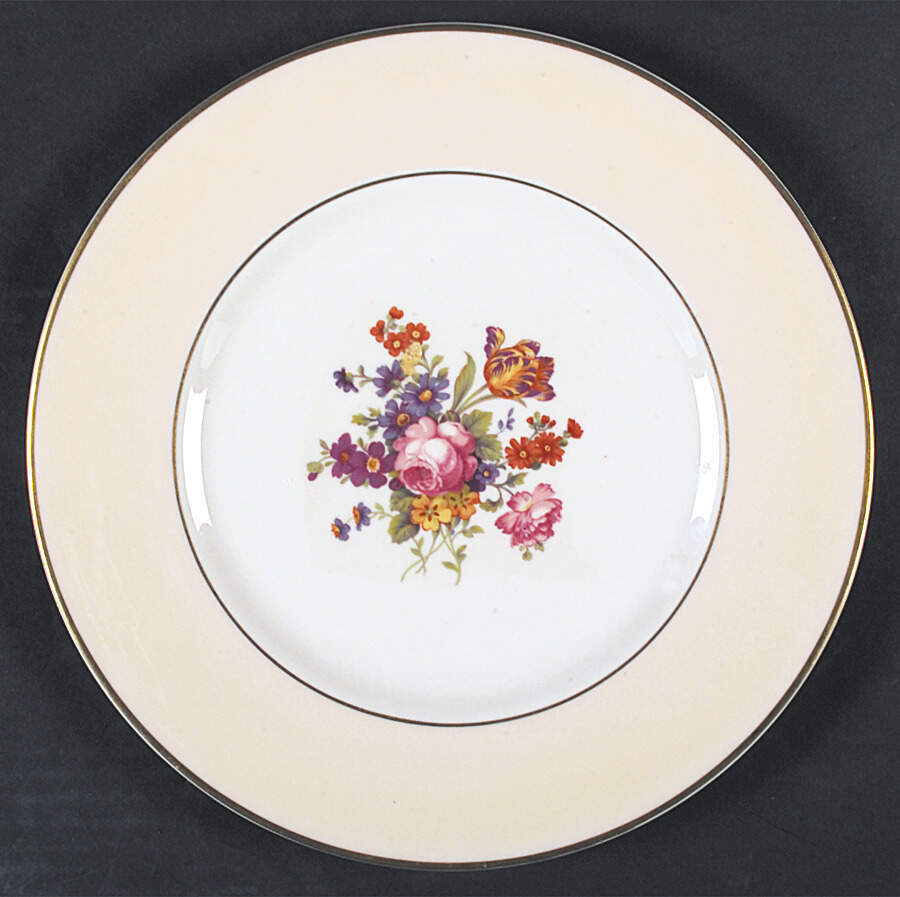 SY598 Dinner Plate by Syracuse-1