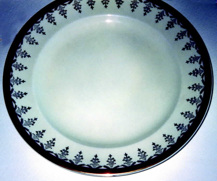 STB242 Dinner Plate by Steubenville-1