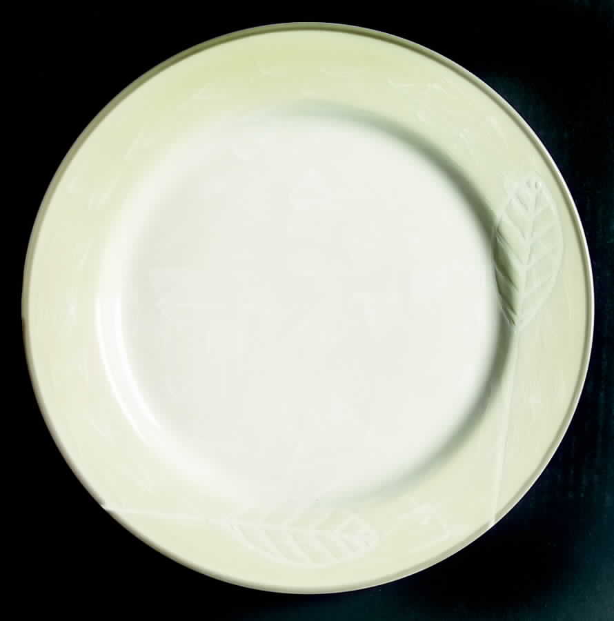 Tempura Dinner Plate by Sakura-1