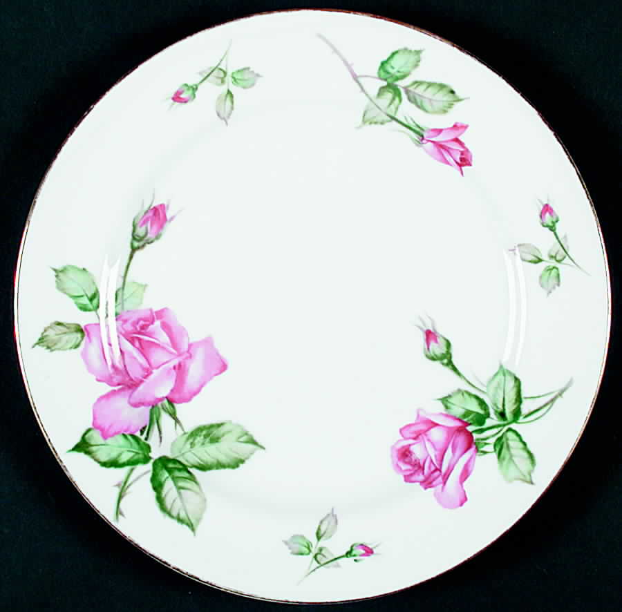 SAN70 Dinner Plate by Sango-1