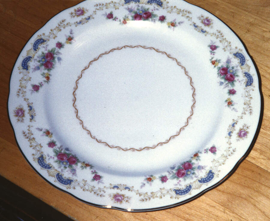 SAN71 Dinner Plate by Sango-1