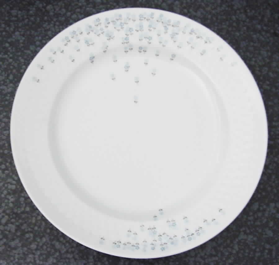 SCR68 Dinner Plate by Scherzer-1