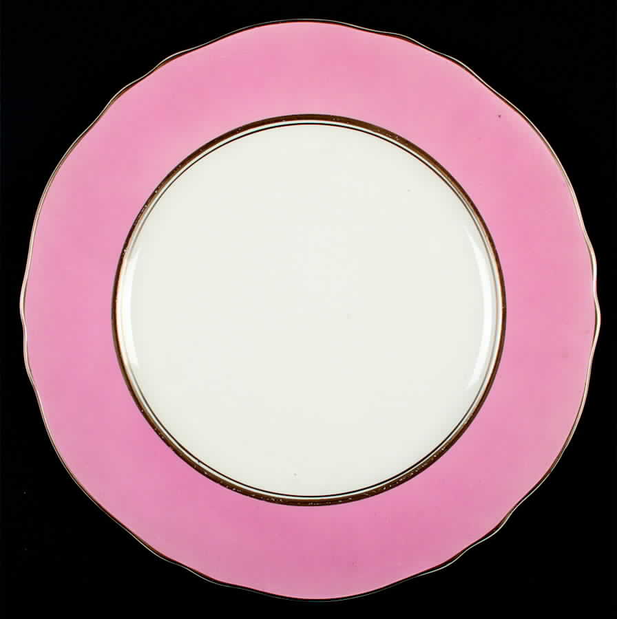 1202 Coral Dinner Plate by Steubenville-1