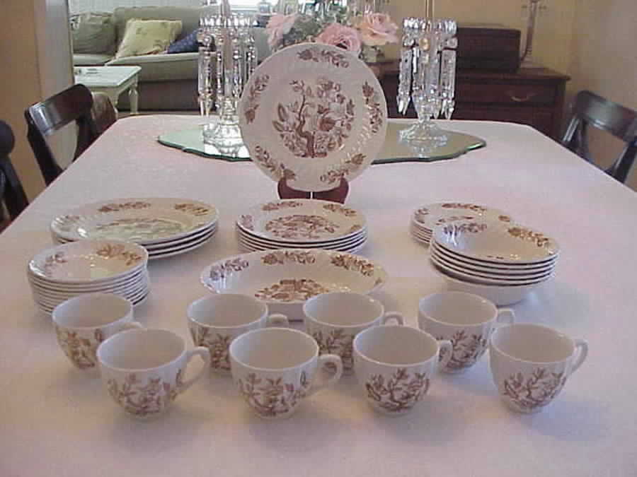 Indian Tree Brown Flat Cup & Saucer Set by Swinnertons-1