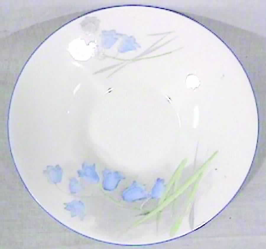 E12341 Saucer by Shelley-1