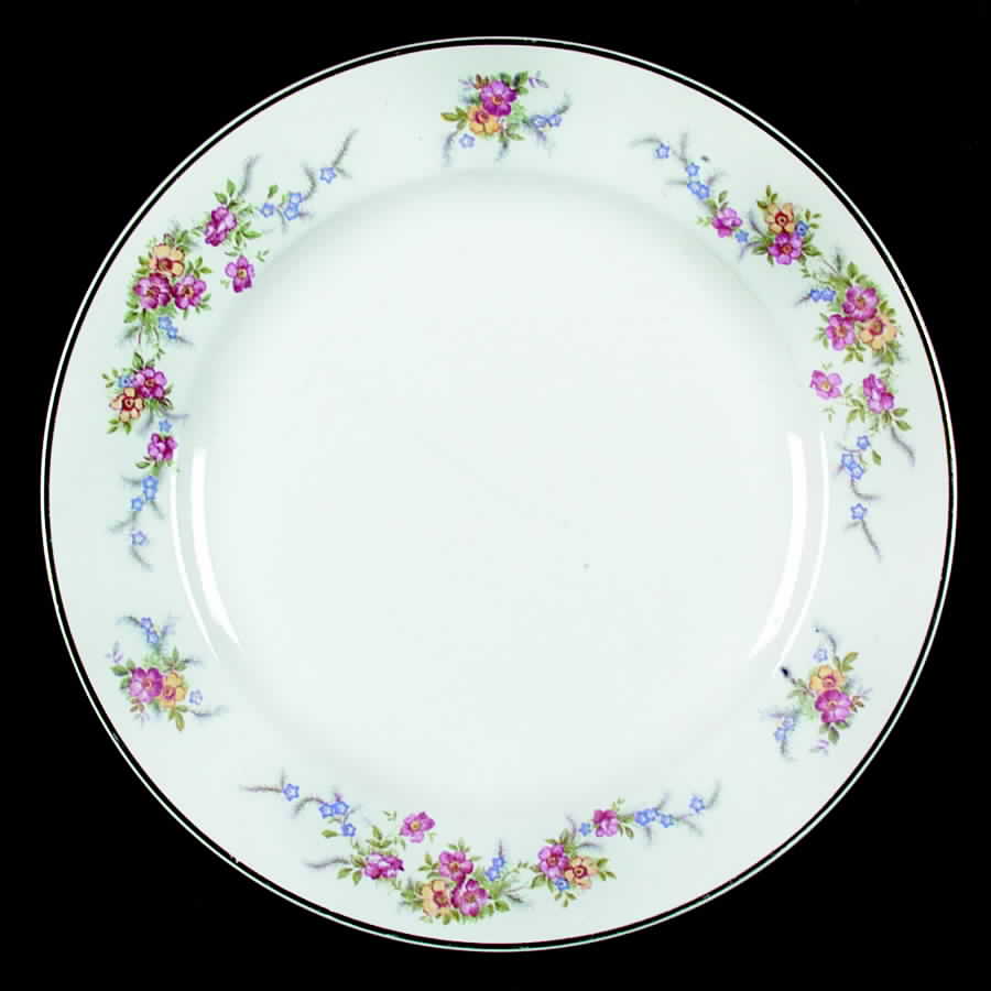 SLM230 Dinner Plate by Salem-1