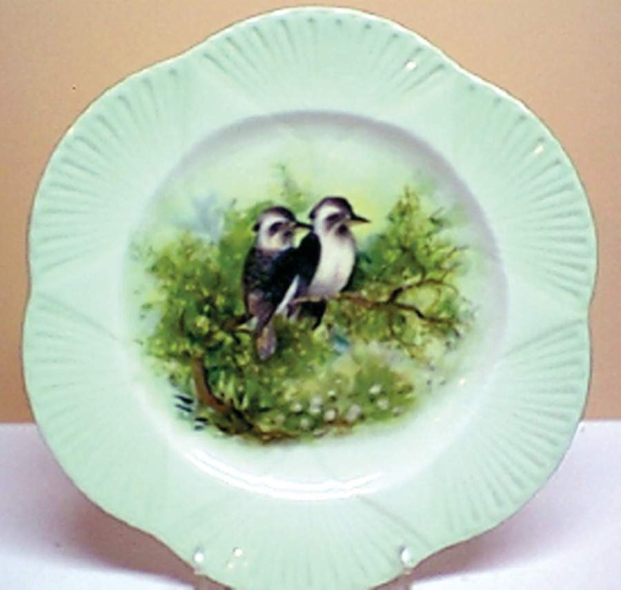 SHE37 Dinner Plate by Shelley-1