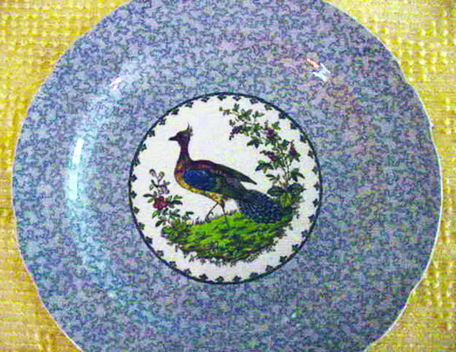 SP303 Dinner Plate by Spode-1