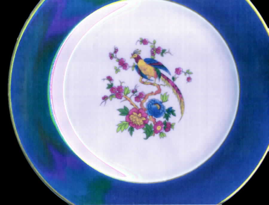 SY611 Dinner Plate by Syracuse-1