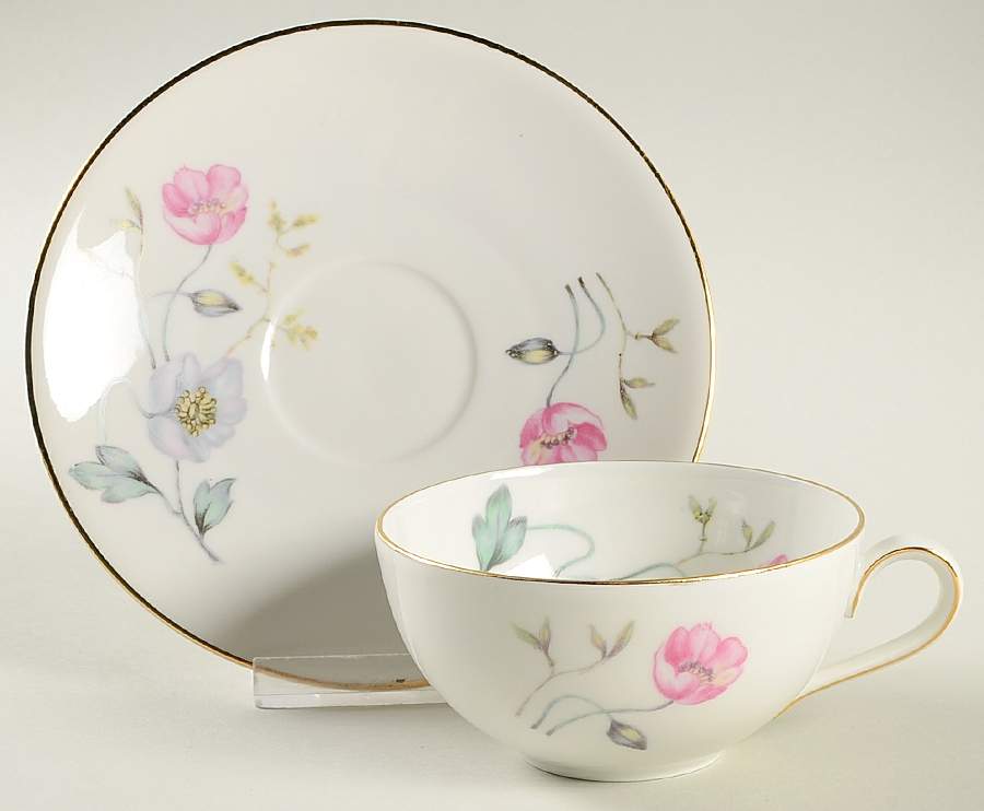 07923 Flat Cup & Saucer Set by Scherzer-1